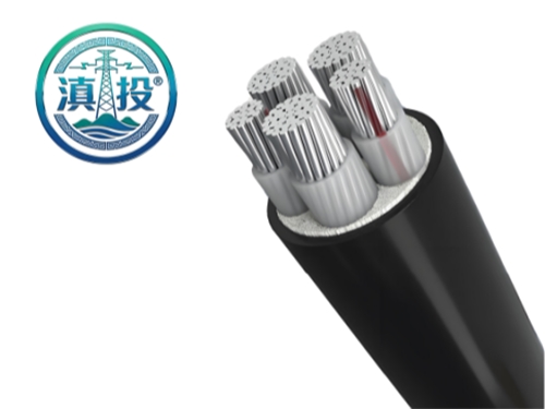云南電纜廠+昆明電纜廠雙立足！滇投® 務(wù)實深耕本地輻射周邊